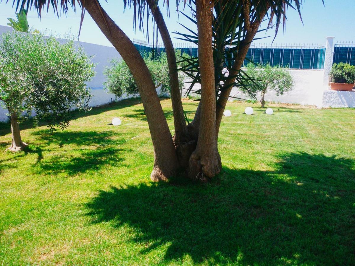 B&B Zagara Marsala Exterior foto